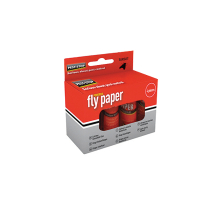Fly Papers (Pack-4)